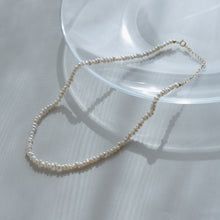 画像をギャラリービューアに読み込む, スモール淡水パール シルバーチョーカー Silver925
